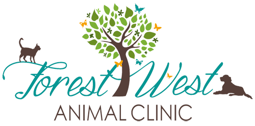 Forest West Animal Clinic - Veterinarians serving Houston, TX